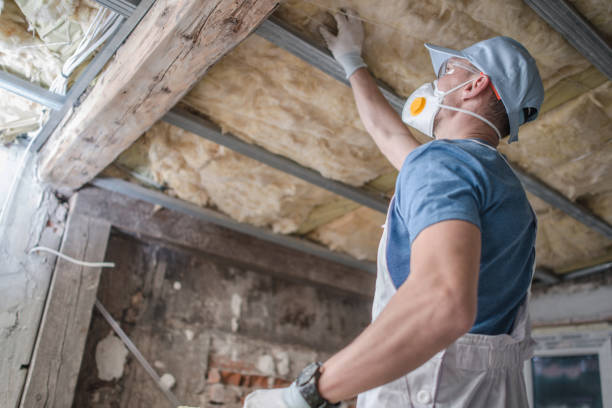 Best Insulation Maintenance and Repair in Spring, TX