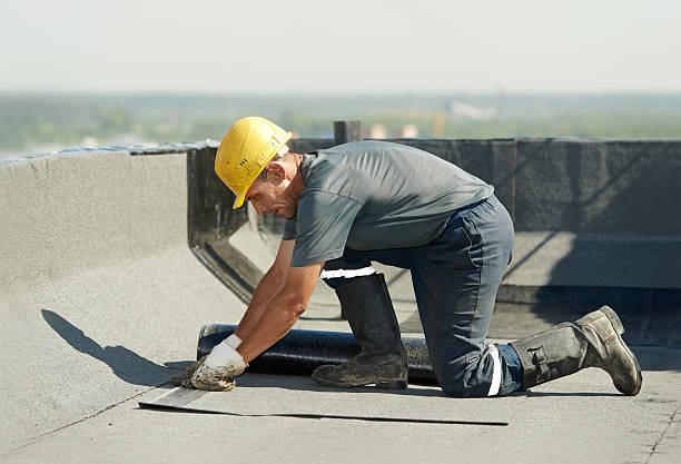 Best Eco-Friendly Insulation in Spring, TX